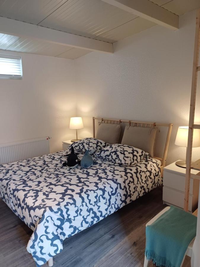 Apartment Opportunity